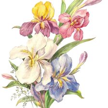 Схема вышивки «№806971»