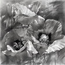 Схема вышивки «Маки»