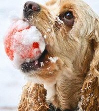 Схема вышивки «Давай еще поиграем!!!!»