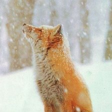 Схема вышивки «зимовка»