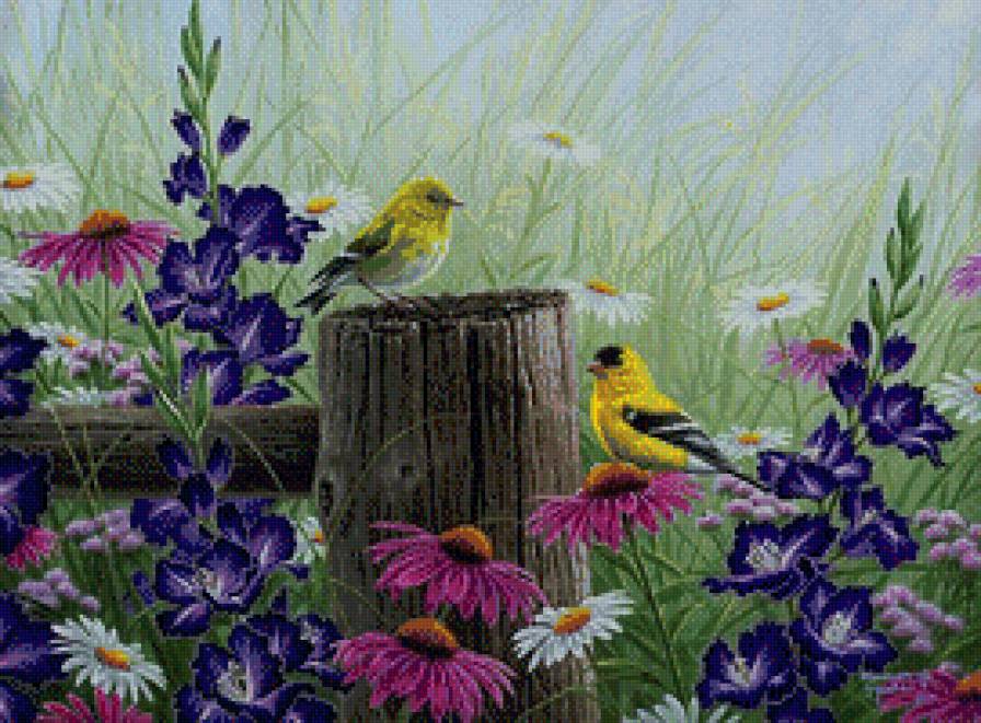 Птицы 2 - луг, цветы, птицы - предпросмотр