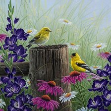 Схема вышивки «Птицы 2»