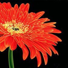 Схема вышивки «№807608»