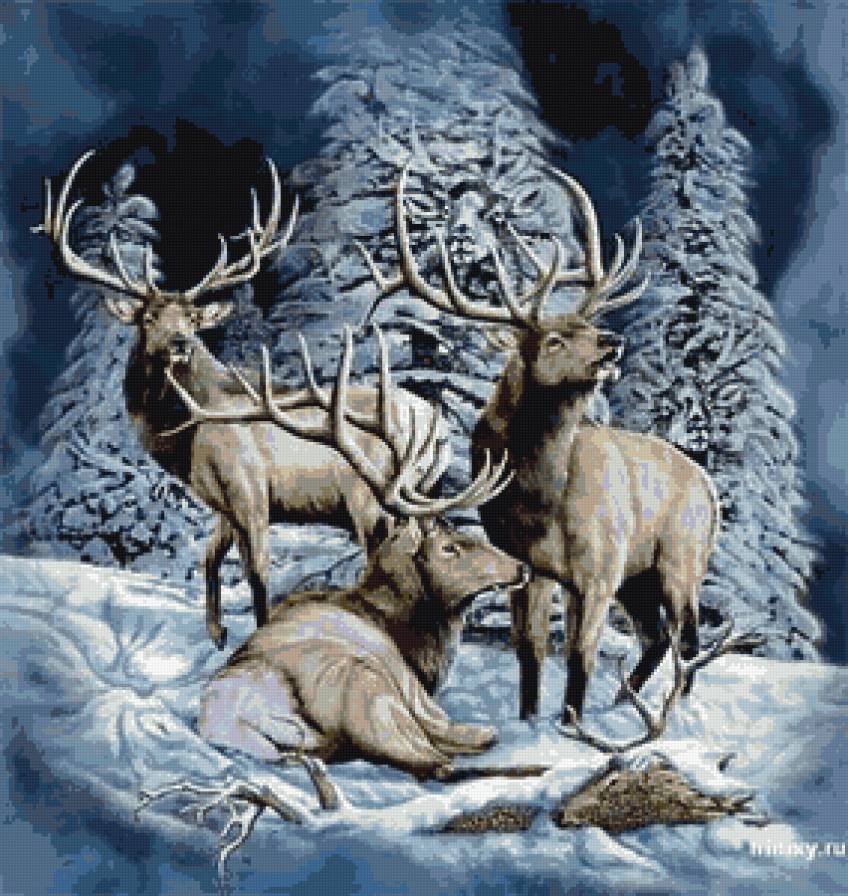 Олени в лесу. - предпросмотр