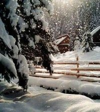 Схема вышивки «зимний лес»