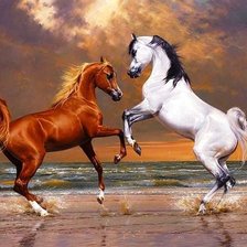 Схема вышивки «Cерия"Прекрасные создания"»