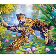 Схема вышивки «№808073»