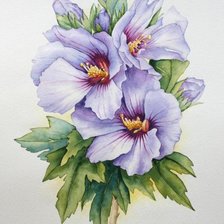 Схема вышивки «цветы»