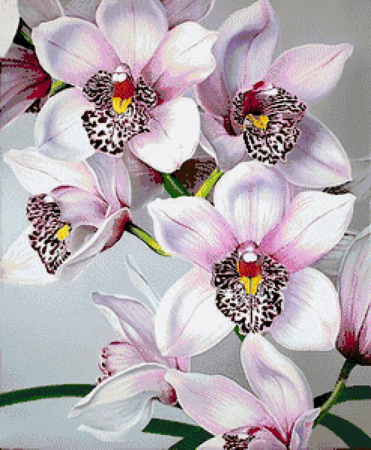 №808156 - предпросмотр