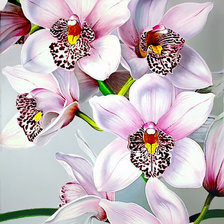 Схема вышивки «№808156»