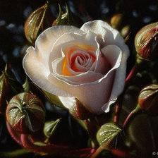 Схема вышивки «розы»