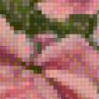 Предпросмотр схемы вышивки «№808675»