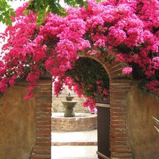 Схема вышивки «ARCO DE BOGANVILLAS»