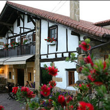 Схема вышивки «arotzenea»