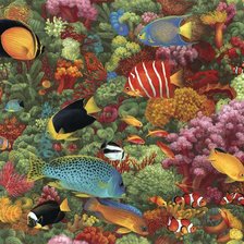 Схема вышивки «arrecife»