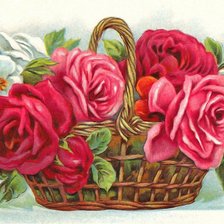 Схема вышивки «rose»