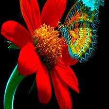 Схема вышивки «№809161»