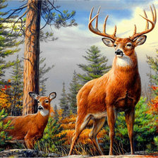 Схема вышивки «№809163»