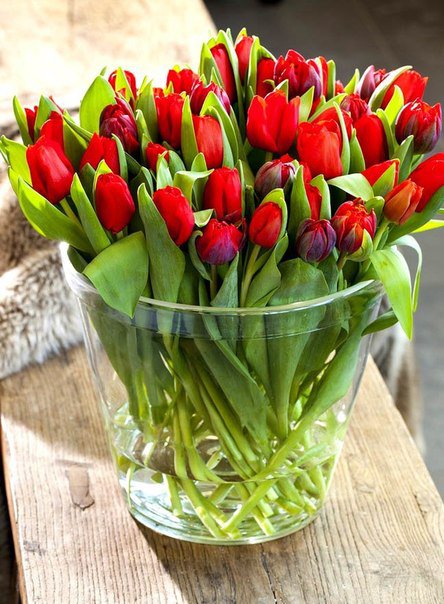 №809193 - цветы, букет, тюльпаны - оригинал