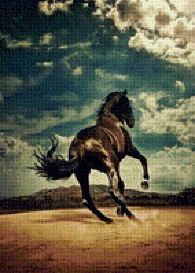 №809194 - лошади, звери, животные - предпросмотр