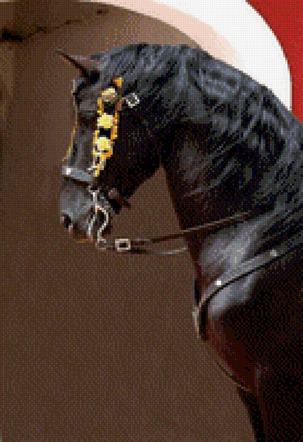 №809202 - звери, животные, лошади - предпросмотр