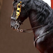 Схема вышивки «№809202»