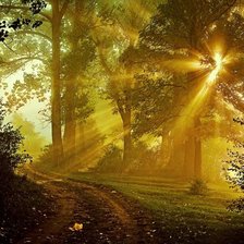 Схема вышивки «пейзаж»