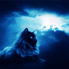 Схема вышивки «Лунный кот 1»