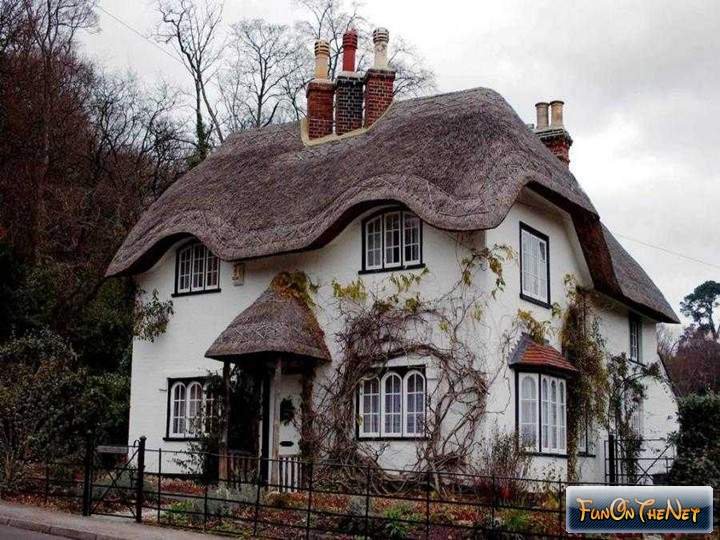 cottage blanco - оригинал