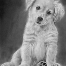 Схема вышивки «Собачка»