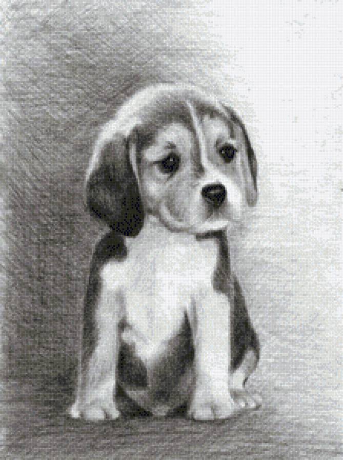 Собачка маленькая - животные, собачка, малютка - предпросмотр