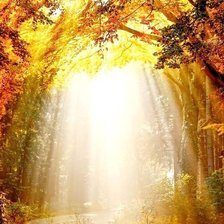 Схема вышивки «Природа»