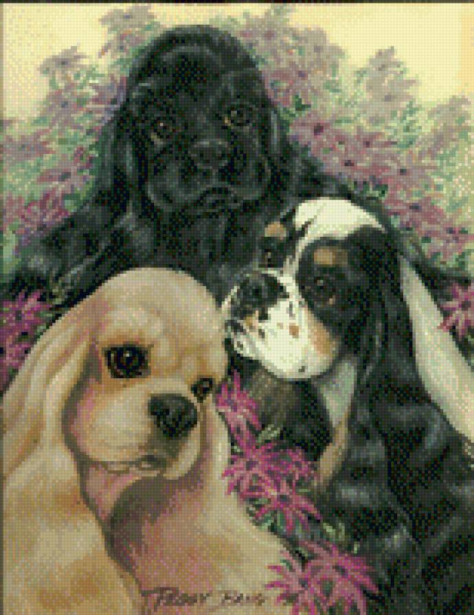 америкашки - предпросмотр