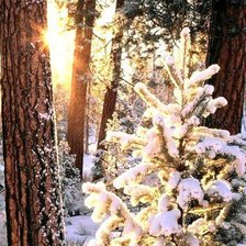 Схема вышивки «№809651»