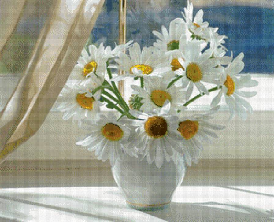 ромашки - подарки, ромашки, цветы - предпросмотр