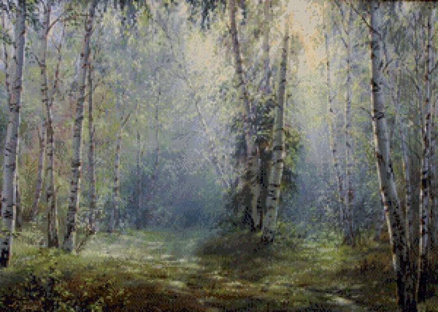 березовая роща - дерево, пейзаж, береза - предпросмотр