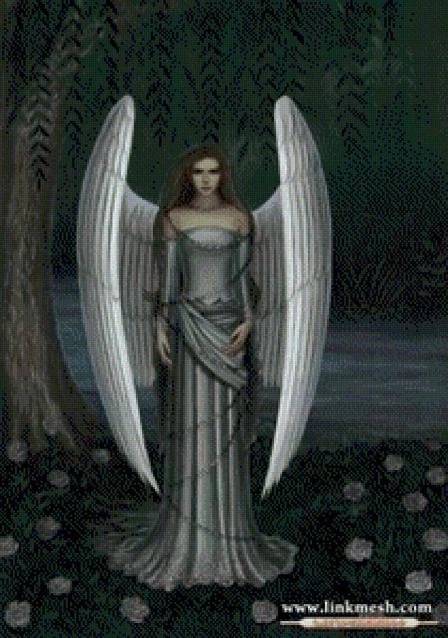 eco del angel - предпросмотр