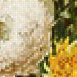 Предпросмотр схемы вышивки «flores-dalias» (№809899)