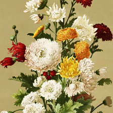 Схема вышивки «flores-dalias»