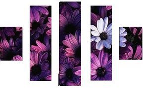 Сиреневые ромашки - оригинал