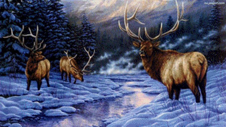 Біля струмка - олень, струмок, зима, ліс, гори - предпросмотр