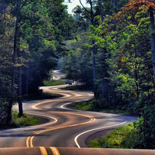 дорога в никуда