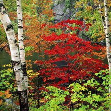 Схема вышивки «осень»