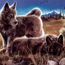 волчата