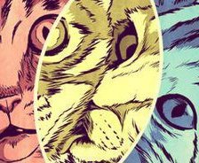 Схема вышивки «дуэт»