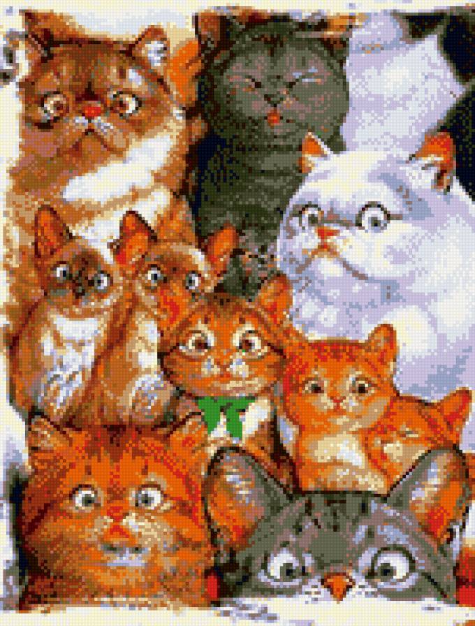 котики - животные, котята, кошки - предпросмотр