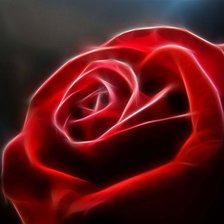 Схема вышивки «роза»