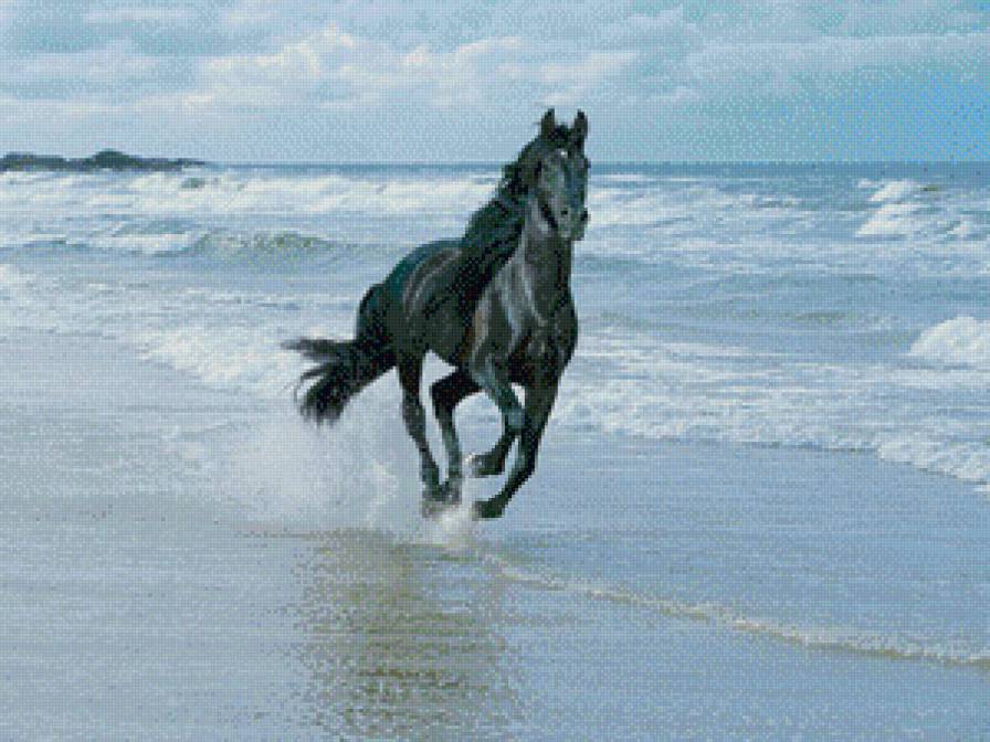 конь - животное - предпросмотр