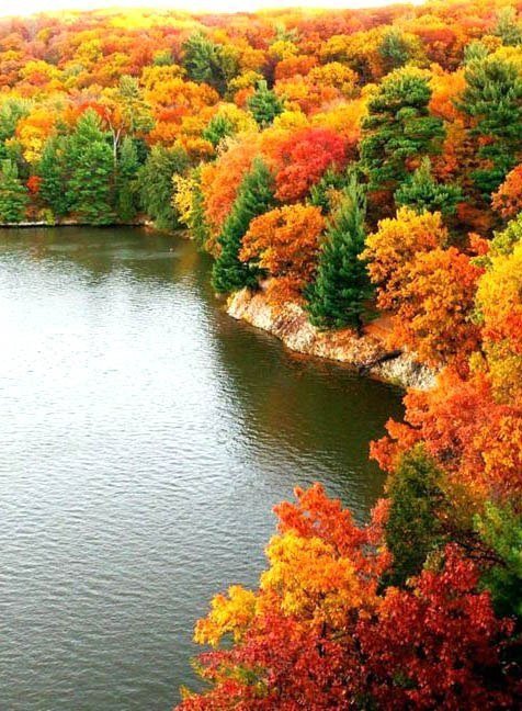 Красота осени - природа, пейзаж, осень - оригинал