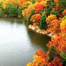 Схема вышивки «Красота осени»